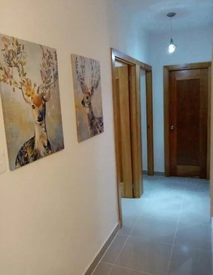 Moderno Apartamento amueblado Full 3 habitaciones, wifi, Netflix Santiago De Los Caballeros
